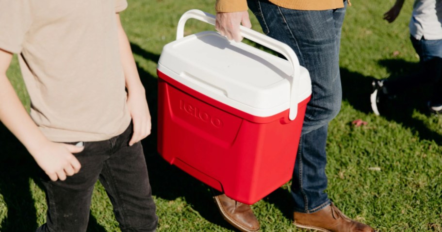 Igloo Hard Side Coolers from $12.98 on Walmart.online