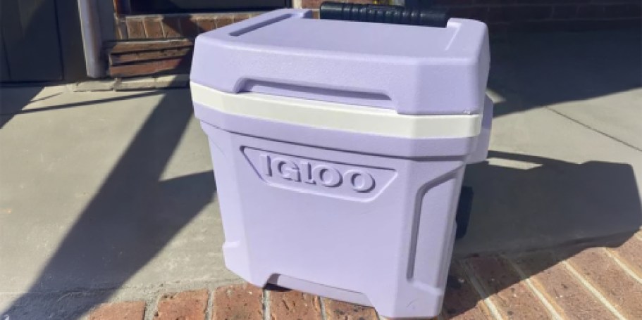 Igloo 16-Quart Rolling Coolers Only $27.99 at Target or Walmart