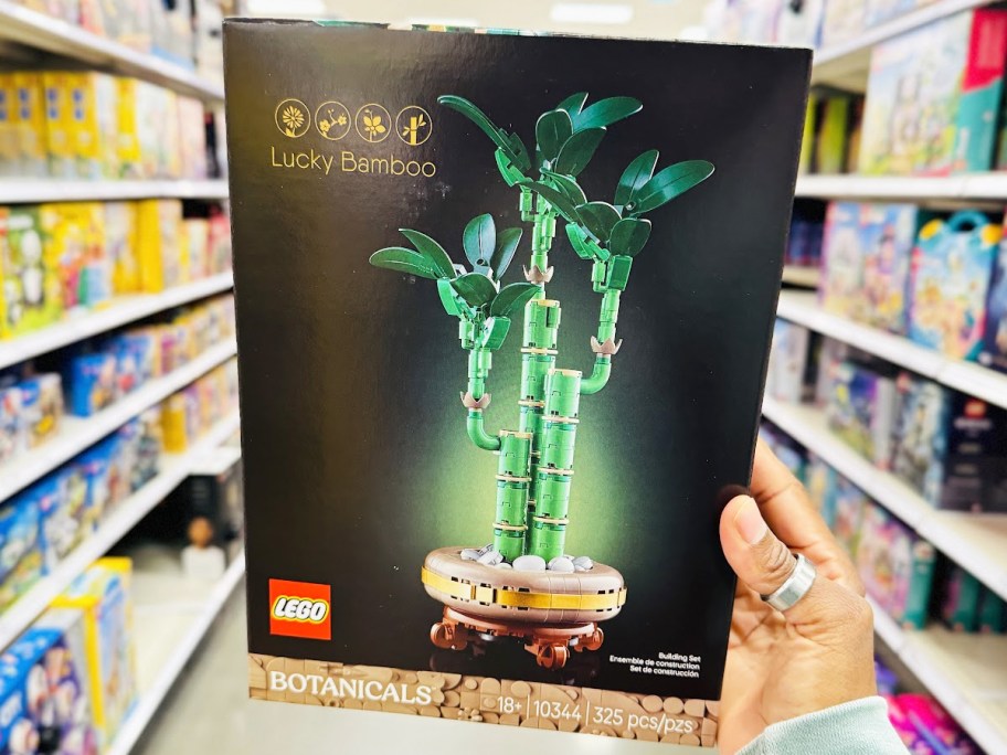 hand holding up box for LEGO Lucky Bamboo set in store