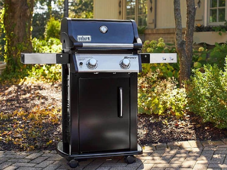 Propane Gas Grill displayed in the backyard