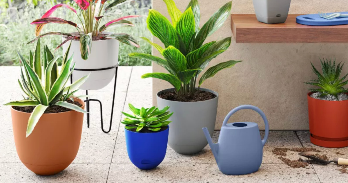 Self-Watering Planters from $2.40 at Target | No Green-Thumb Needed!