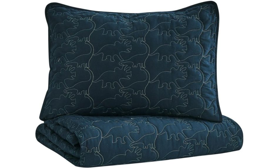 Stock image of a Your Zone Dino Print Quilt Set