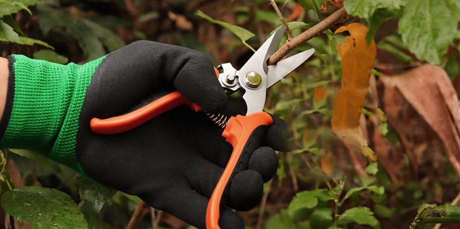 Garden Shears Set Only $6.99 on Amazon (Reg. $10) | Includes 3 Shears & Gloves!