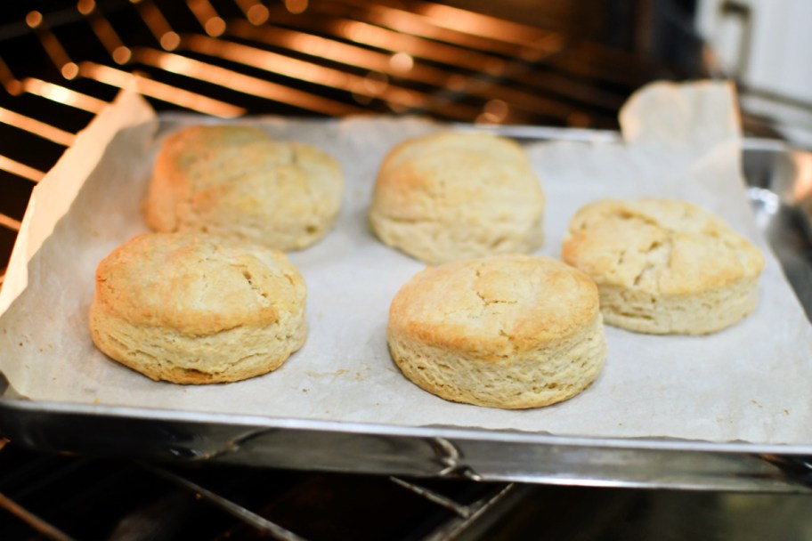 baking sourdough biscuits on a sheet pan in the oven 