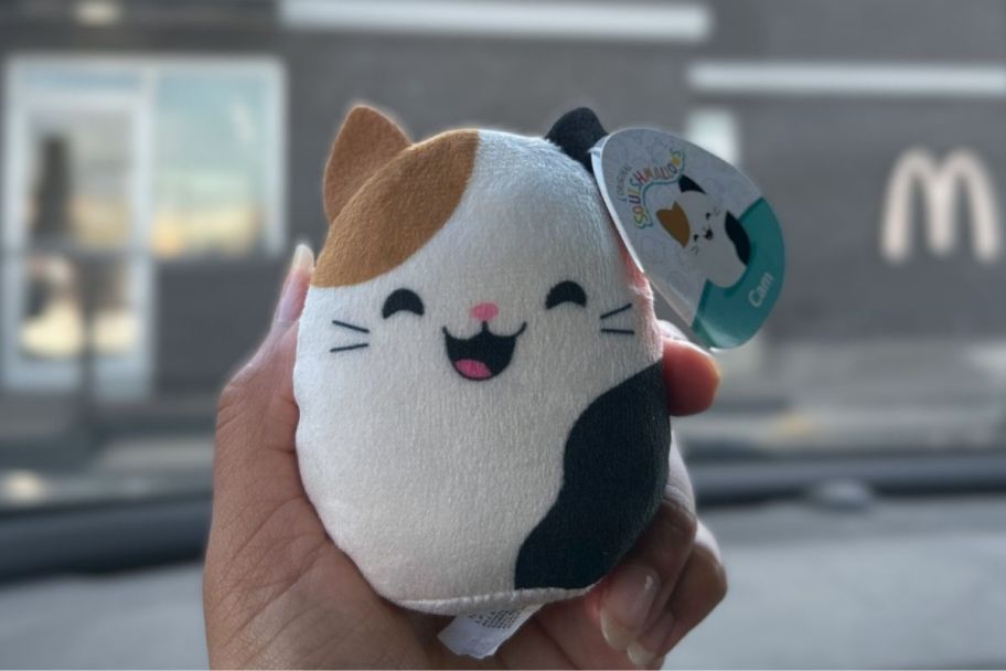 a womans had holding a happy meal squishmallow