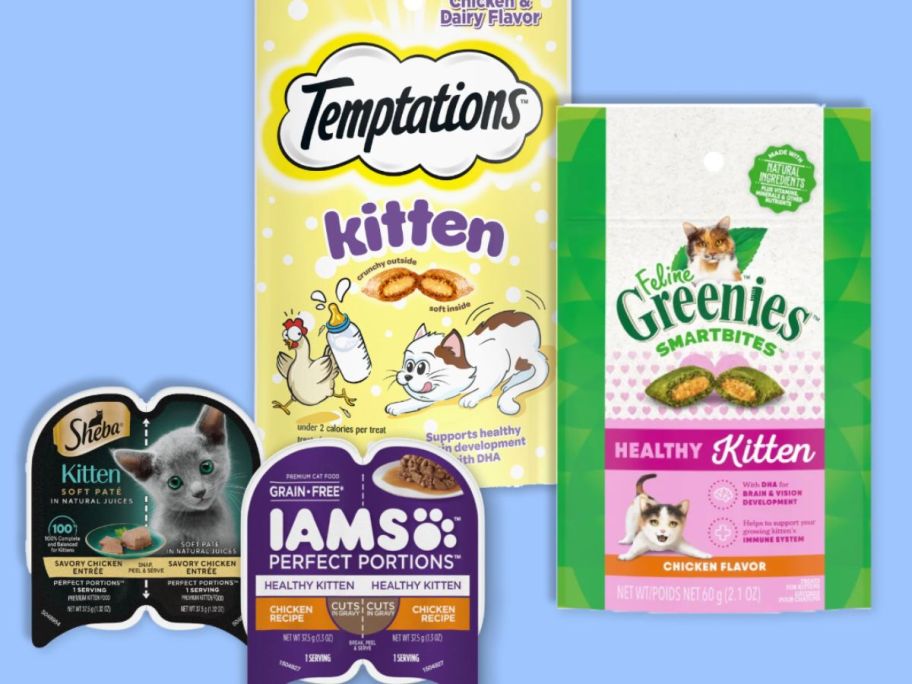 Kinship littleKin Kitten Kit