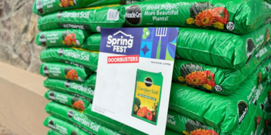 Lowe’s SpringFEST Starts March 20th (Some Deals are Live NOW!)