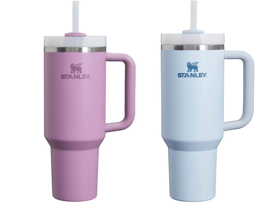 purple and blue stanley tumblers