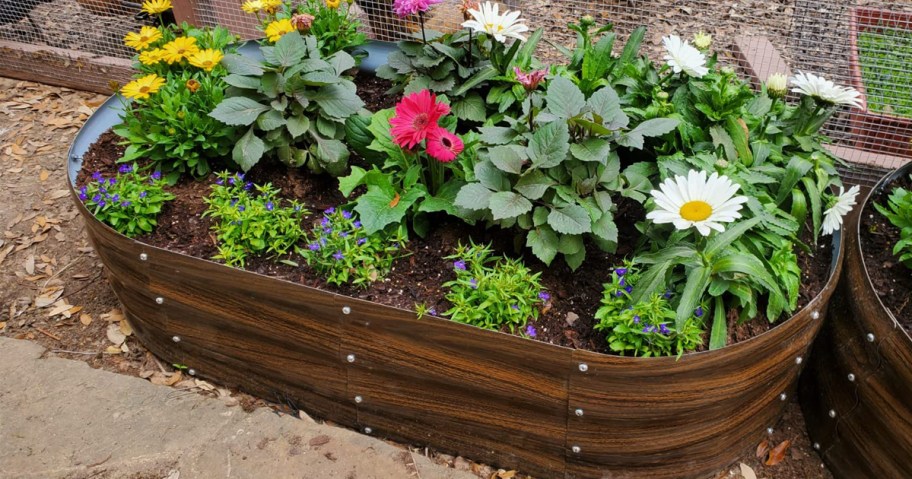 garden bed in brown with flowers in it