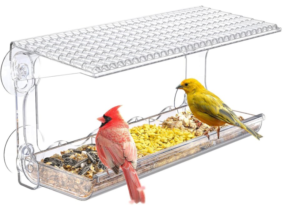 large bird feeder with two colorful birds eating seed