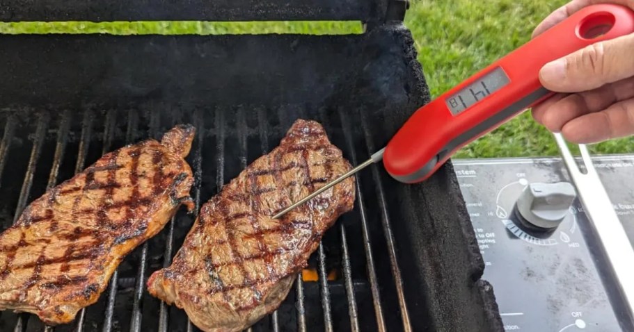 Digital Meat Thermometer Just $9.90 Shipped on Amazon | Waterproof w/ Magnetic Back