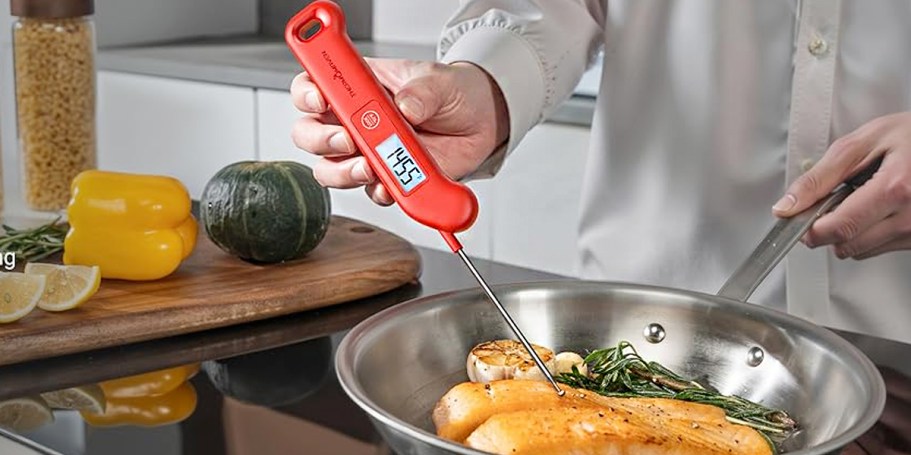 Digital Meat Thermometer Only $9.99 on Amazon (Waterproof w/ Magnetic Back)