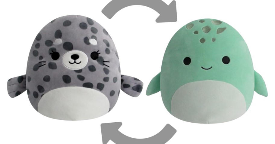 a grey seal Squishmallows plush and green turtle Squishmallows plush