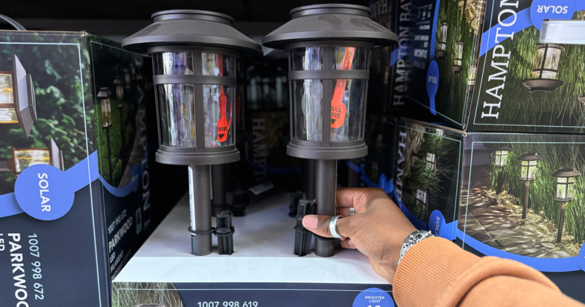 Solar Outdoor LED Lights Just $2.99 Each Delivered When You Buy 8 (May Sell Out!)