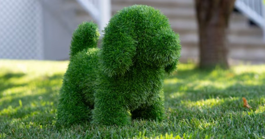 Fun Animal Shaped Topiaries from $39.98 at Lowe’s