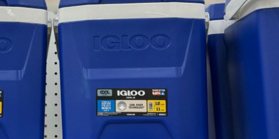 Igloo 12-Quart Coolers Only $15.99 on Target.online | 3 Color Choices!