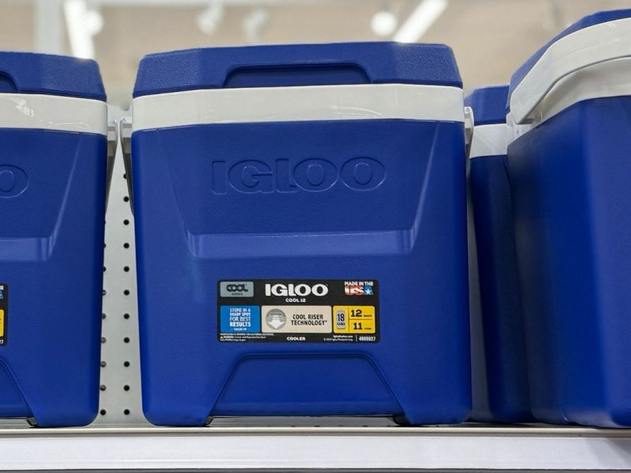 Igloo 12-Quart Coolers Only $15.99 on Target.online | 3 Color Choices!