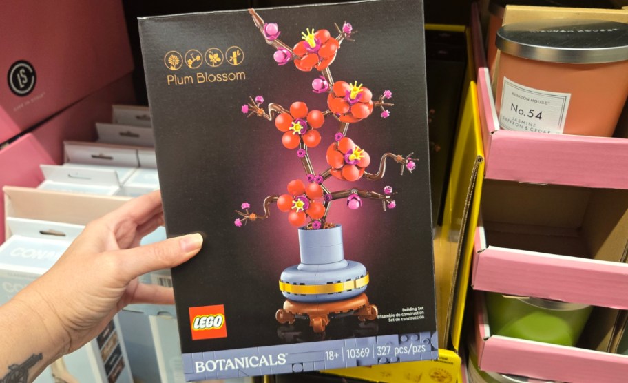 hand holding a box of LEGO Botanical Premium Building Kit - Plum Blossom