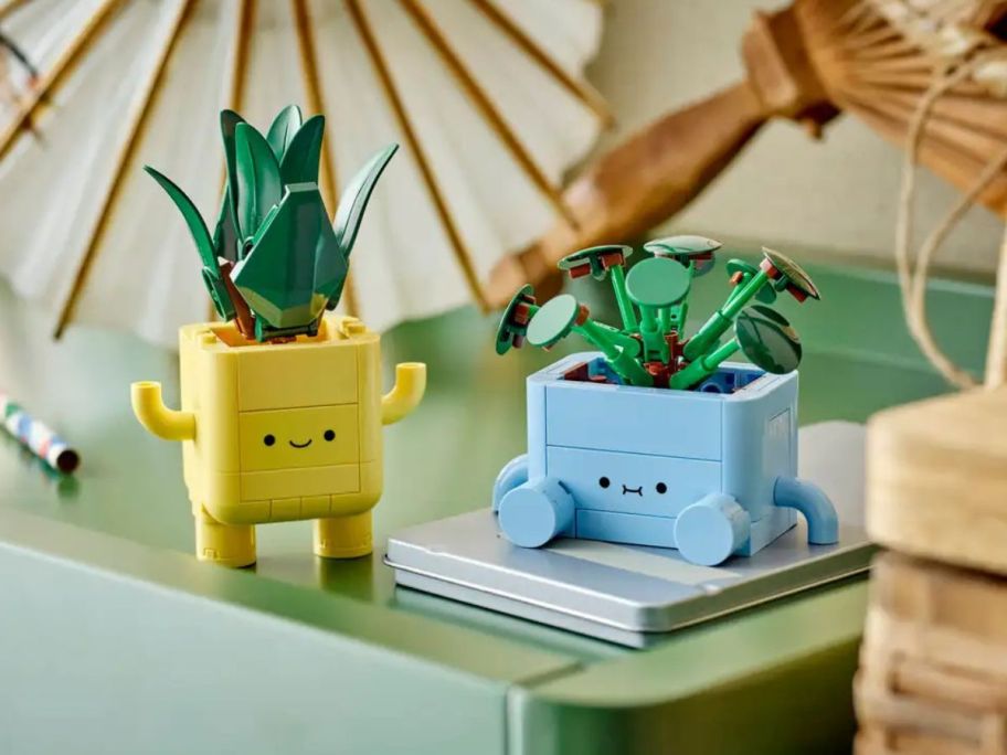 LEGO Botanicals Happy Plants on a shelf