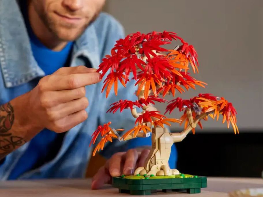 man making a LEGO Botanicals Japanese Red Maple Bonsai Tree 