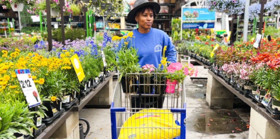 Fresh Round of Lowe’s Spring Sale Deals – Save on Plants, Mulch, Soil, & More