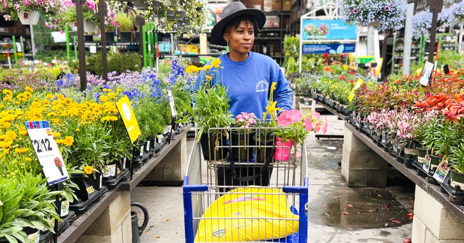 Fresh Round of Lowe’s Spring Sale Deals – Save on Plants, Mulch, Soil, & More