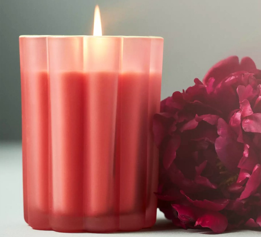 pink scalloped candle near to a red flower