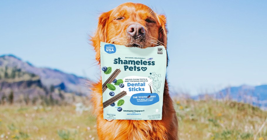 Shameless Pets Dog Dental Sticks Only $3 Shipped on Amazon (Reg. $8)