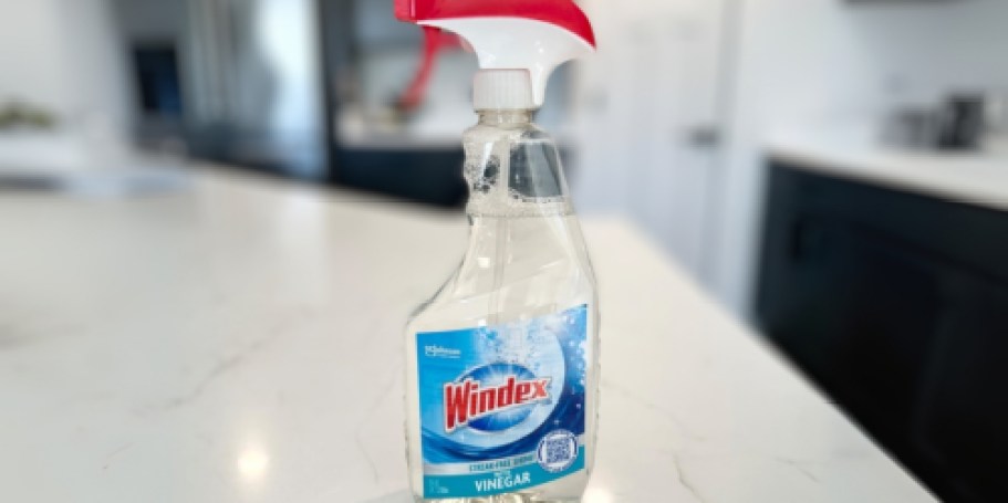 Windex Glass Cleaner w/ Vinegar Only $2.68 Shipped on Amazon