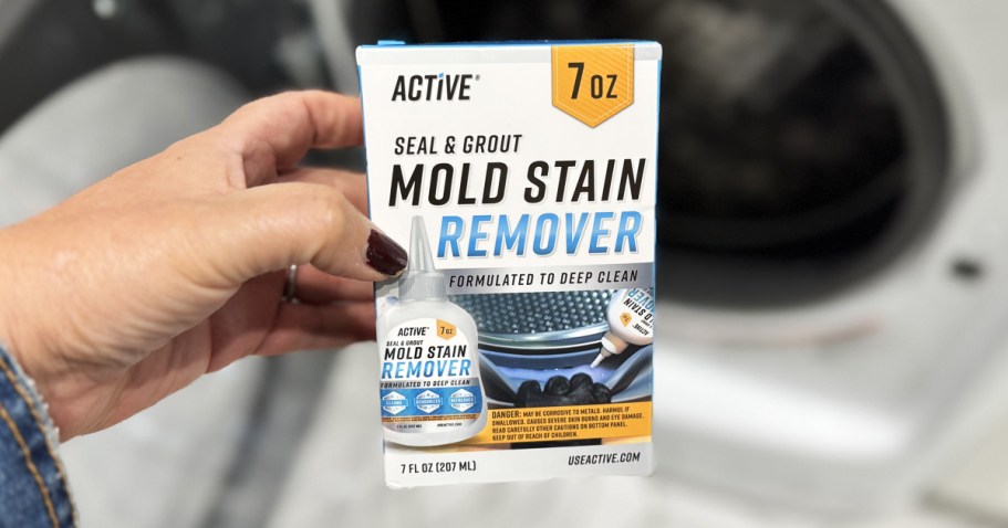 Active Mold Stain Remover Only $9 Shipped on Amazon (Regularly $17)