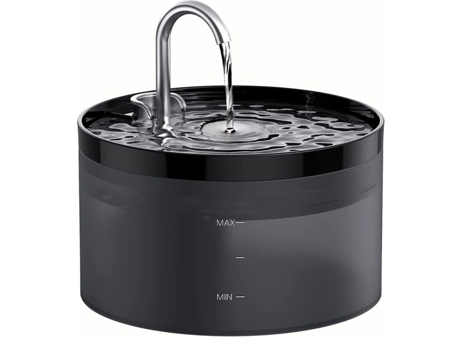 black cat water fountain