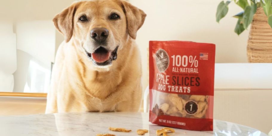 Amazon Pet Day is onlineing — But These Deals Are Already Live!
