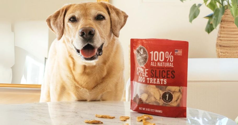 Amazon’s Pet Day Event Kicks Off Next Week – Shop These Deals NOW!