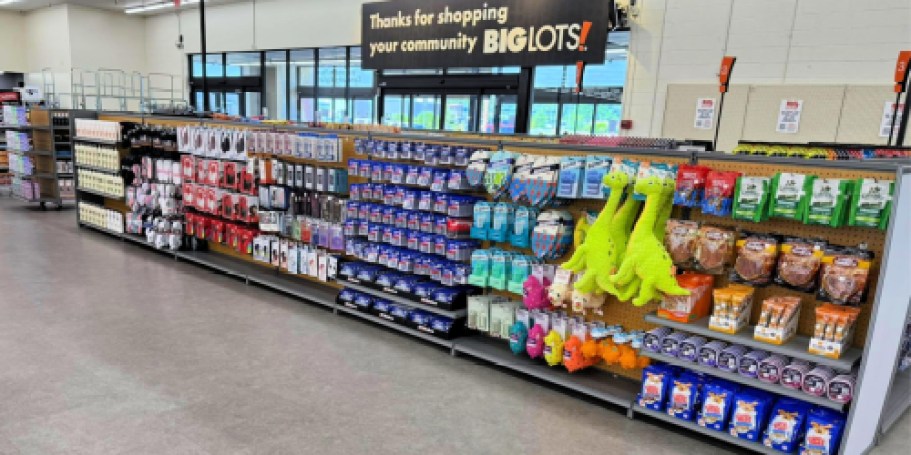 Big Lots Reopens More Locations Across the U.S. – Starting Today!