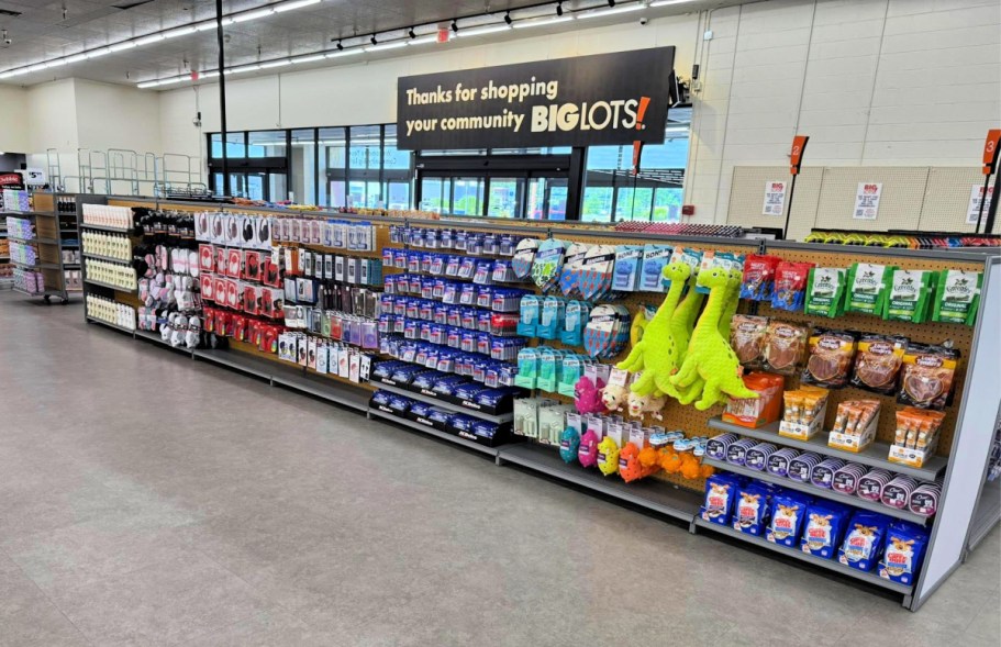 Big Lots Reopens More Locations Across the U.S. – Starting Today!