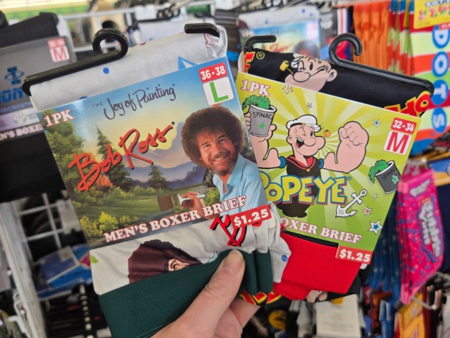 New Finds at Dollar Tree – Fun Men’s Boxers, Food-Themed Socks, GoFire Sticks, & More