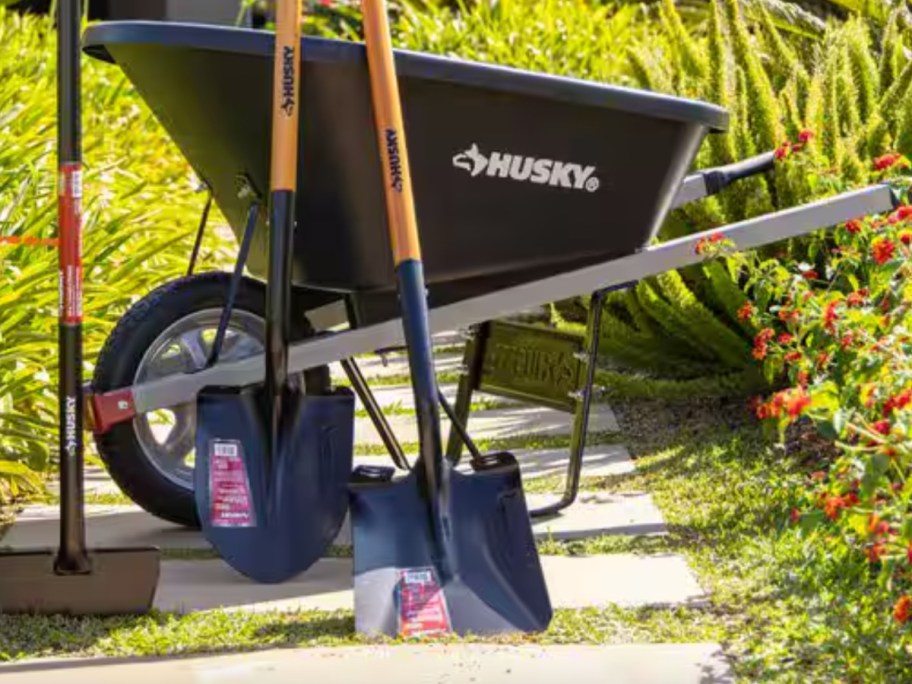 metal shovel with wood handle in front of wheelbarrow