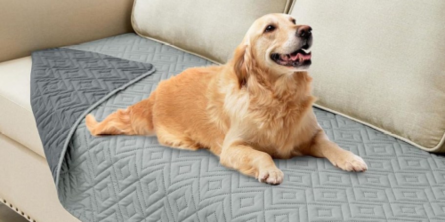 Waterproof Dog Blanket Just $6.99 on Amazon | Protect Your Sofa on the Cheap