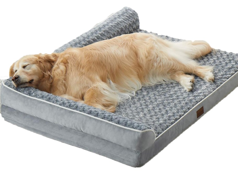 dog laying on gray dog bed 