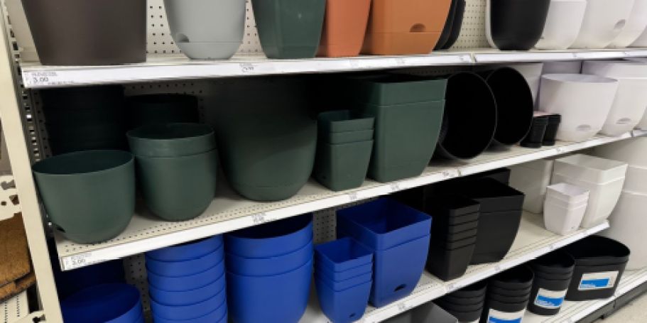 Target’s Best Planters Start at Just $2 – And They Water Themselves!