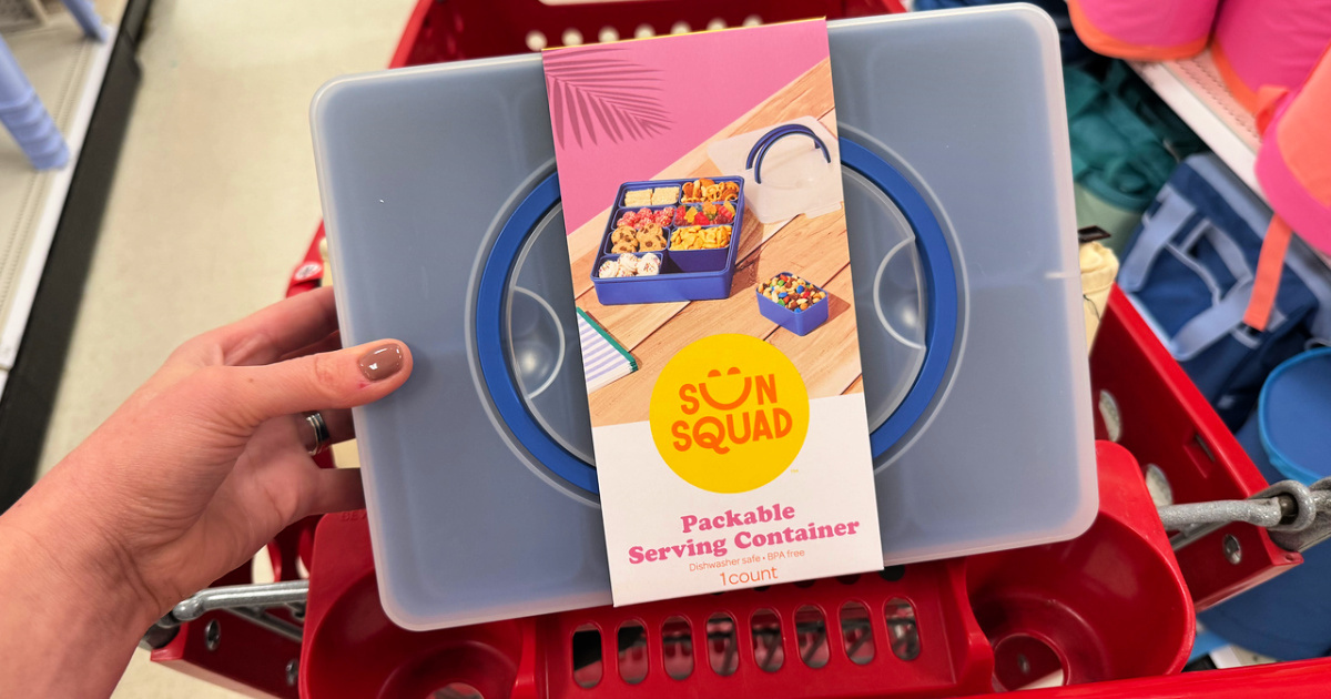 New Snackle Boxes Just $10 at Target | Perfect for Beach Days & Road Trips