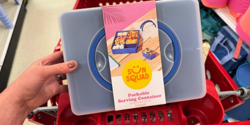 New Snackle Boxes Just $10 at Target | Perfect for Beach Days & Road Trips