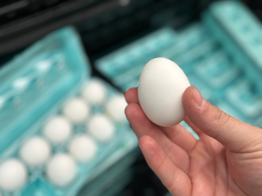 holding an egg near an empty carton at Walmart