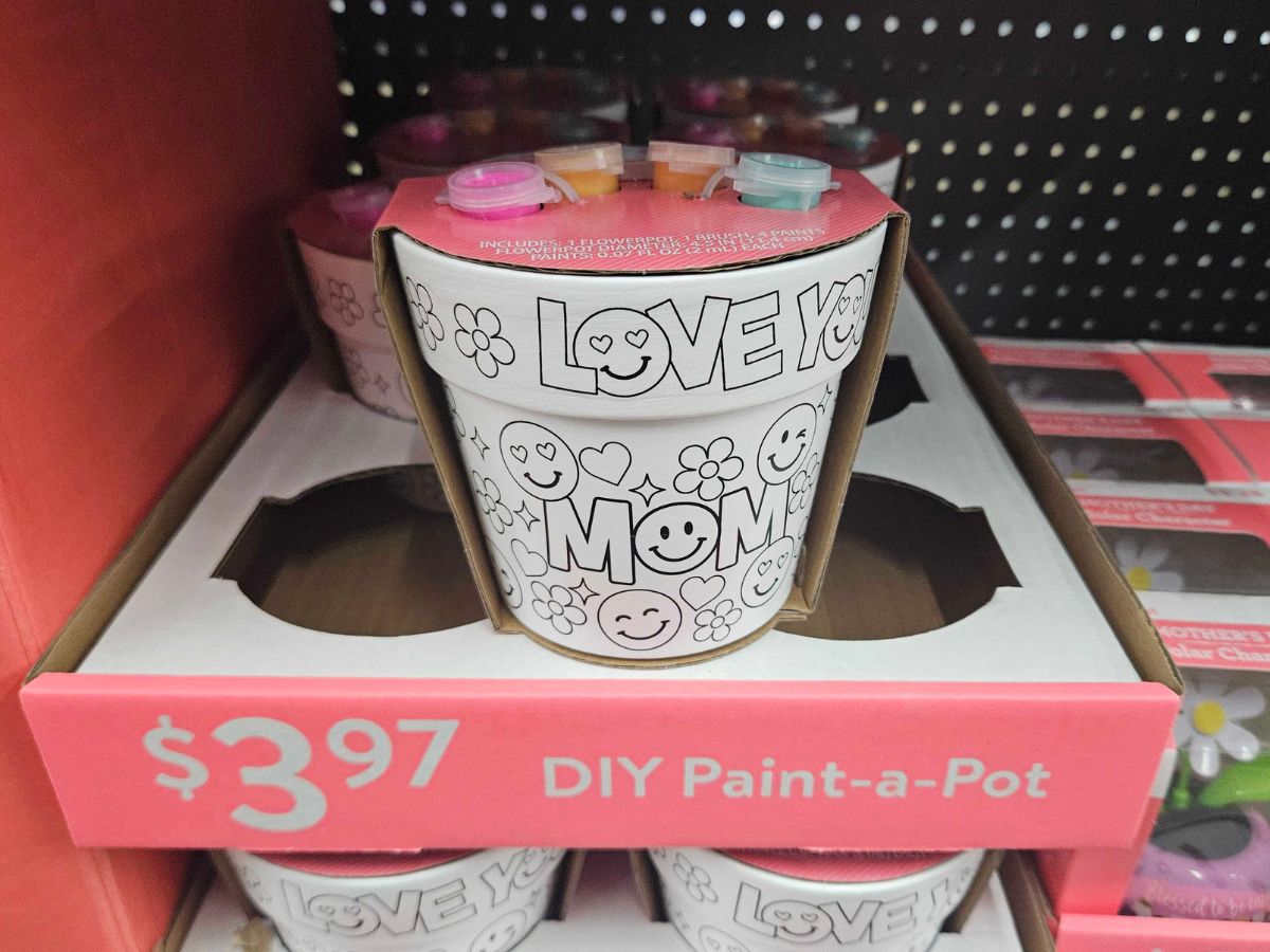 Mother’s Day Gifts on a Budget? These 9 Walmart Finds Are All Under $15
