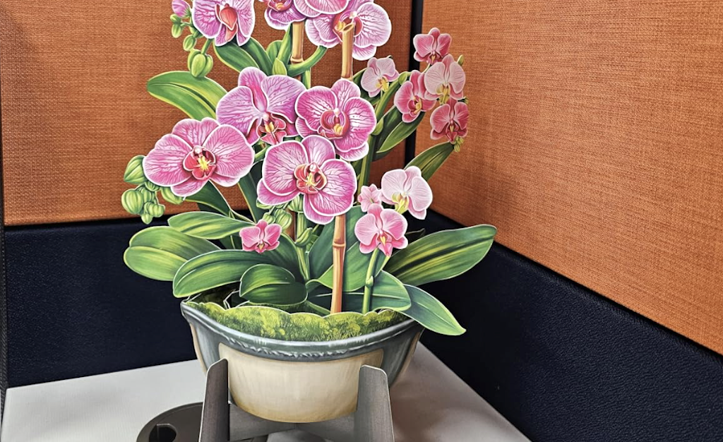 Flower Arrangement Pop-Up Cards from $5 on Amazon (Perfect for Mother’s Day)