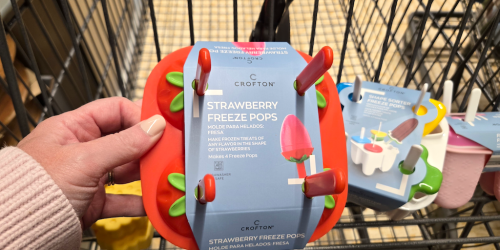 This Week at ALDI: Summer Finds Starting Under $5!