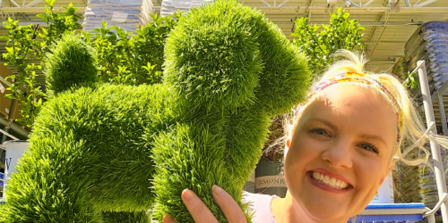Fun Animal-Shaped Topiaries on Sale at Lowe’s