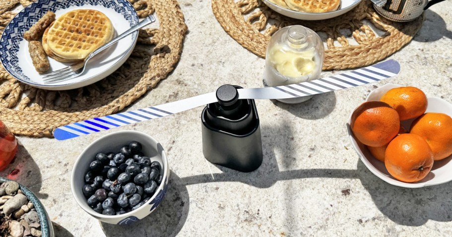 Fly Fans 4-Pack Just $14.99 on Amazon (Keeps Bugs from Landing on Food!)