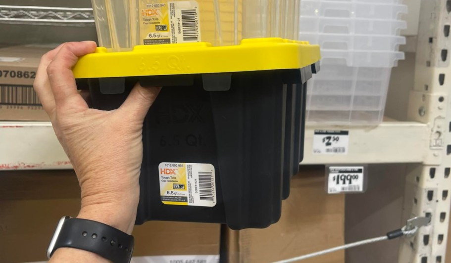 These $2.50 Mini Home Depot Storage Totes Are Going Viral (Grab Yours Before They Sell Out!)