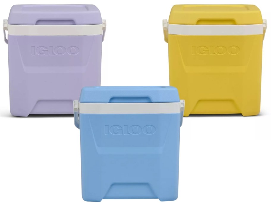 igloo hard-sided 12 quart coolers in purple, blue, and yellow
